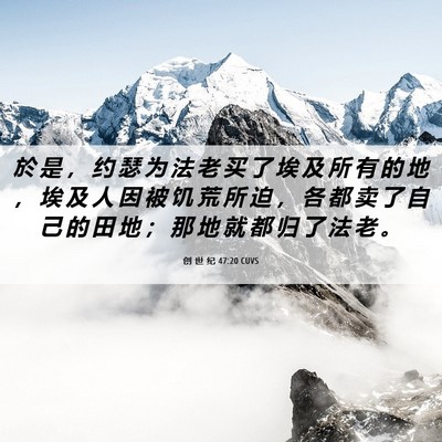 Picture 06 - 创 世 纪 47:20 CUVS - 於 是 ， 约 瑟 为 法 老 买 了 埃 及 - Bible Verse Picture