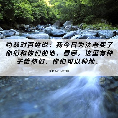 Picture 06 - 创 世 纪 47:23 CUVS - 约 瑟 对 百 姓 说 ： 我 今 日 为 法 - Bible Verse Picture