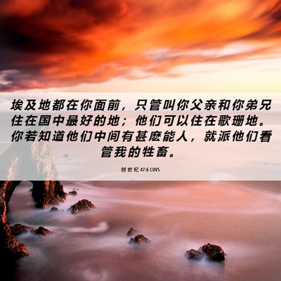 Picture 06 - 创 世 纪 47:6 CUVS - 埃 及 地 都 在 你 面 前 ， 只 管 叫 - Bible Verse Picture