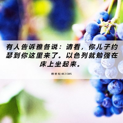 Picture 06 - 创 世 纪 48:2 CUVS - 有 人 告 诉 雅 各 说 ： 请 看 ， 你 - Bible Verse Picture
