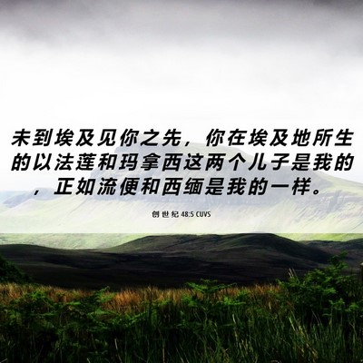 Picture 06 - 创 世 纪 48:5 CUVS - 未 到 埃 及 见 你 之 先 ， 你 在 埃 - Bible Verse Picture