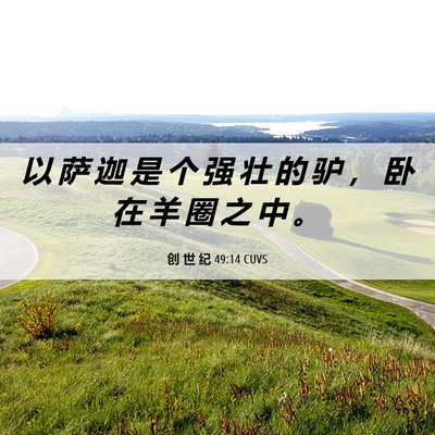 Picture 06 - 创 世 纪 49:14 CUVS - 以 萨 迦 是 个 强 壮 的 驴 ， 卧 在 - Bible Verse Picture