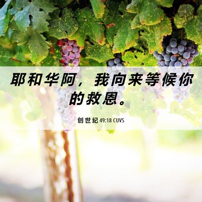 Picture 06 - 创 世 纪 49:18 CUVS - 耶 和 华 阿 ， 我 向 来 等 候 你 的 - Bible Verse Picture