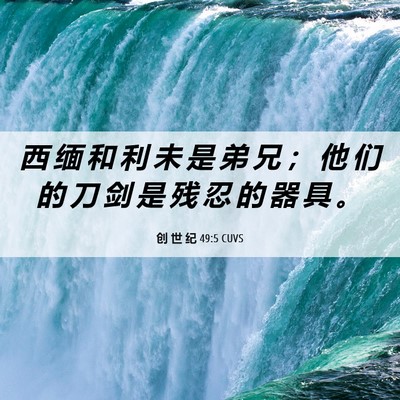 Picture 06 - 创 世 纪 49:5 CUVS - 西 缅 和 利 未 是 弟 兄 ； 他 们 的 - Bible Verse Picture