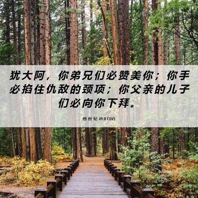 Picture 06 - 创 世 纪 49:8 CUVS - 犹 大 阿 ， 你 弟 兄 们 必 赞 美 你 - Bible Verse Picture