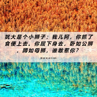 Picture 06 - 创 世 纪 49:9 CUVS - 犹 大 是 个 小 狮 子 ； 我 儿 阿 ， - Bible Verse Picture