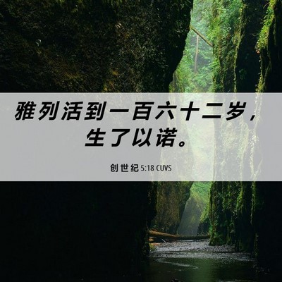 Picture 06 - 创 世 纪 5:18 CUVS - 雅 列 活 到 一 百 六 十 二 岁 ， 生 - Bible Verse Picture