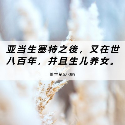 Picture 06 - 创 世 纪 5:4 CUVS - 亚 当 生 塞 特 之 後 , 又 在 世 八 - Bible Verse Picture
