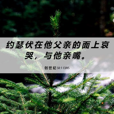 Picture 06 - 创 世 纪 50:1 CUVS - 约 瑟 伏 在 他 父 亲 的 面 上 哀 哭 - Bible Verse Picture