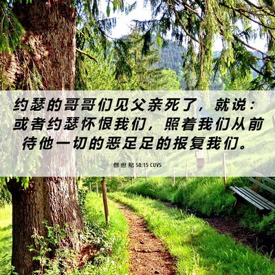 Picture 06 - 创 世 纪 50:15 CUVS - 约 瑟 的 哥 哥 们 见 父 亲 死 了 ， - Bible Verse Picture