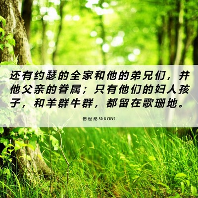 Picture 06 - 创 世 纪 50:8 CUVS - 还 有 约 瑟 的 全 家 和 他 的 弟 兄 - Bible Verse Picture
