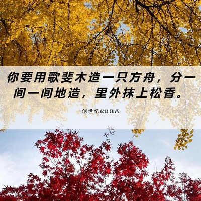 Picture 06 - 创 世 纪 6:14 CUVS - 你 要 用 歌 斐 木 造 一 只 方 舟 ， - Bible Verse Picture