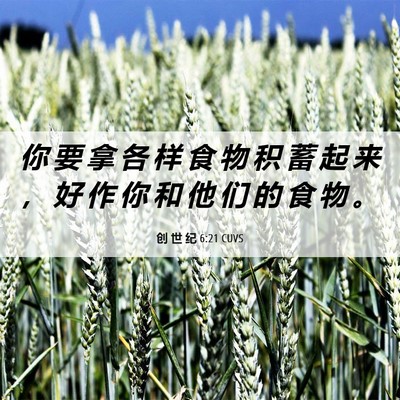 Picture 06 - 创 世 纪 6:21 CUVS - 你 要 拿 各 样 食 物 积 蓄 起 来 ， - Bible Verse Picture