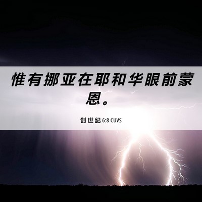 Picture 06 - 创 世 纪 6:8 CUVS - 惟 有 挪 亚 在 耶 和 华 眼 前 蒙 恩 - Bible Verse Picture