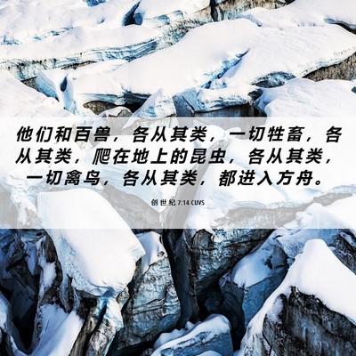 Picture 06 - 创 世 纪 7:14 CUVS - 他 们 和 百 兽 ， 各 从 其 类 ， 一 - Bible Verse Picture
