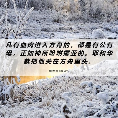 Picture 06 - 创 世 纪 7:16 CUVS - 凡 有 血 肉 进 入 方 舟 的 ， 都 是 - Bible Verse Picture