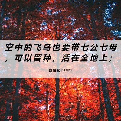 Picture 06 - 创 世 纪 7:3 CUVS - 空 中 的 飞 鸟 也 要 带 七 公 七 母 - Bible Verse Picture