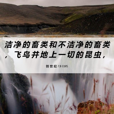 Picture 06 - 创 世 纪 7:8 CUVS - 洁 净 的 畜 类 和 不 洁 净 的 畜 类 - Bible Verse Picture
