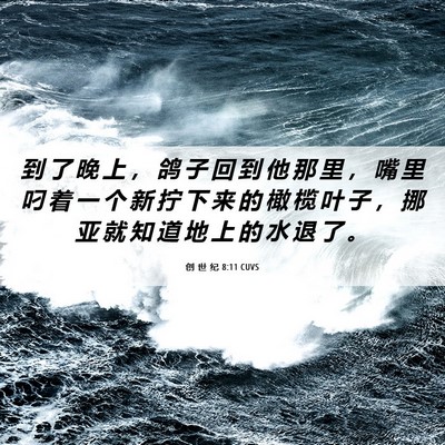 Picture 06 - 创 世 纪 8:11 CUVS - 到 了 晚 上 ， 鸽 子 回 到 他 那 里 - Bible Verse Picture