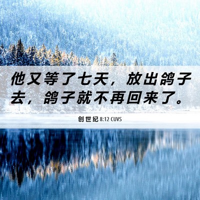 Picture 06 - 创 世 纪 8:12 CUVS - 他 又 等 了 七 天 ， 放 出 鸽 子 去 - Bible Verse Picture