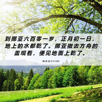 Picture 06 - 创 世 纪 8:13 CUVS - 到 挪 亚 六 百 零 一 岁 ， 正 月 初 - Bible Verse Picture