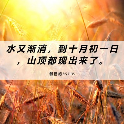 Picture 06 - 创 世 纪 8:5 CUVS - 水 又 渐 消 ， 到 十 月 初 一 日 ， - Bible Verse Picture