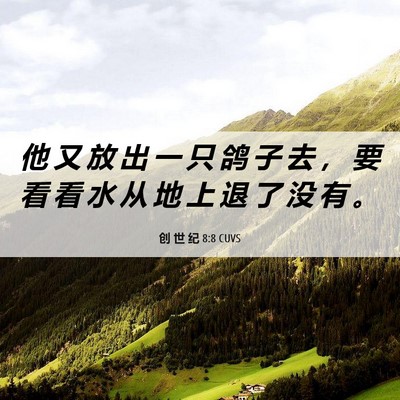 Picture 06 - 创 世 纪 8:8 CUVS - 他 又 放 出 一 只 鸽 子 去 ， 要 看 - Bible Verse Picture