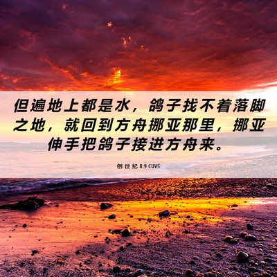 Picture 06 - 创 世 纪 8:9 CUVS - 但 遍 地 上 都 是 水 ， 鸽 子 找 不 - Bible Verse Picture