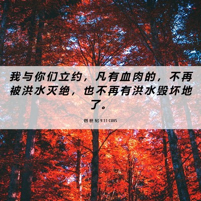 Picture 06 - 创 世 纪 9:11 CUVS - 我 与 你 们 立 约 ， 凡 有 血 肉 的 - Bible Verse Picture