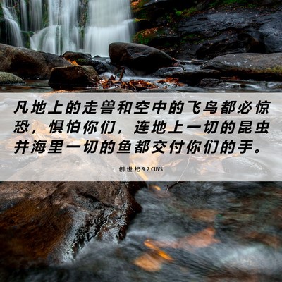 Picture 06 - 创 世 纪 9:2 CUVS - 凡 地 上 的 走 兽 和 空 中 的 飞 鸟 - Bible Verse Picture