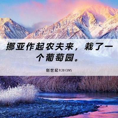 Picture 06 - 创 世 纪 9:20 CUVS - 挪 亚 作 起 农 夫 来 ， 栽 了 一 个 - Bible Verse Picture