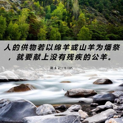 Picture 06 - 利 未 记 1:10 CUVS - 人 的 供 物 若 以 绵 羊 或 山 羊 为 - Bible Verse Picture