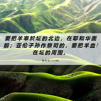 Picture 06 - 利 未 记 1:11 CUVS - 要 把 羊 宰 於 坛 的 北 边 ， 在 耶 - Bible Verse Picture