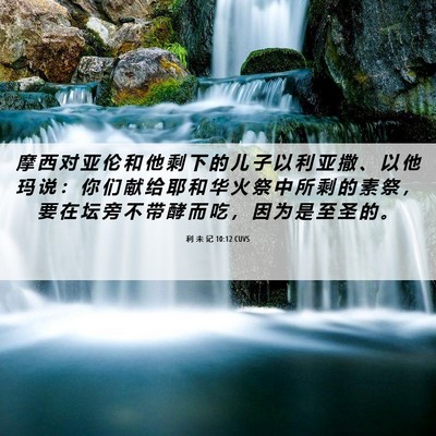 Picture 06 - 利 未 记 10:12 CUVS - 摩 西 对 亚 伦 和 他 剩 下 的 儿 子 - Bible Verse Picture