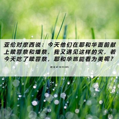 Picture 06 - 利 未 记 10:19 CUVS - 亚 伦 对 摩 西 说 ： 今 天 他 们 在 - Bible Verse Picture