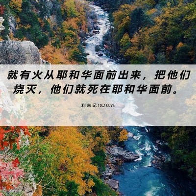 Picture 06 - 利 未 记 10:2 CUVS - 就 有 火 从 耶 和 华 面 前 出 来 ， - Bible Verse Picture