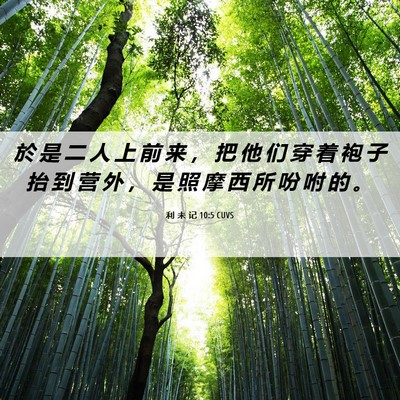 Picture 06 - 利 未 记 10:5 CUVS - 於 是 二 人 上 前 来 ， 把 他 们 穿 - Bible Verse Picture