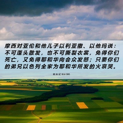 Picture 06 - 利 未 记 10:6 CUVS - 摩 西 对 亚 伦 和 他 儿 子 以 利 亚 - Bible Verse Picture