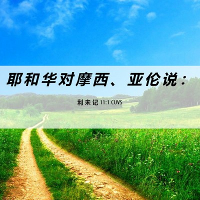 Picture 06 - 利 未 记 11:1 CUVS - 耶 和 华 对 摩 西 、 亚 伦 说 - Bible Verse Picture