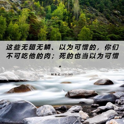 Picture 06 - 利 未 记 11:11 CUVS - 这 些 无 翅 无 鳞 、 以 为 可 憎 的 - Bible Verse Picture