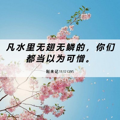 Picture 06 - 利 未 记 11:12 CUVS - 凡 水 里 无 翅 无 鳞 的 ， 你 们 都 - Bible Verse Picture