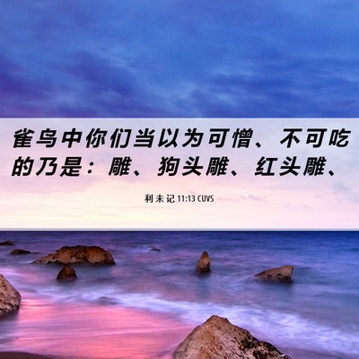 Picture 06 - 利 未 记 11:13 CUVS - 雀 鸟 中 你 们 当 以 为 可 憎 、 不 - Bible Verse Picture