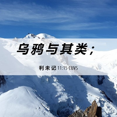 Picture 06 - 利 未 记 11:15 CUVS - 乌 鸦 与 其 类 - Bible Verse Picture