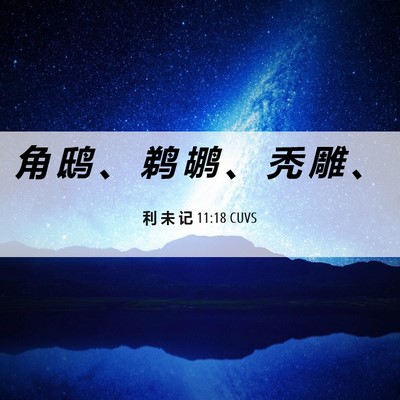 Picture 06 - 利 未 记 11:18 CUVS - 角 鸱 、 鹈 鹕 、 秃 雕 - Bible Verse Picture