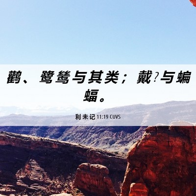 Picture 06 - 利 未 记 11:19 CUVS - 鹳 、 鹭 鸶 与 其 类 ； 戴 ? 与 蝙 蝠 - Bible Verse Picture