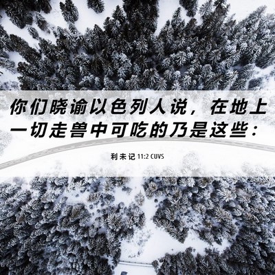 Picture 06 - 利 未 记 11:2 CUVS - 你 们 晓 谕 以 色 列 人 说 ， 在 地 - Bible Verse Picture