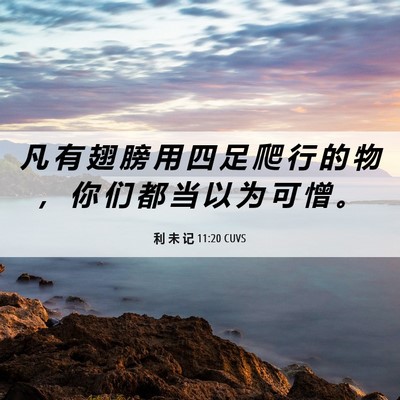 Picture 06 - 利 未 记 11:20 CUVS - 凡 有 翅 膀 用 四 足 爬 行 的 物 ， - Bible Verse Picture