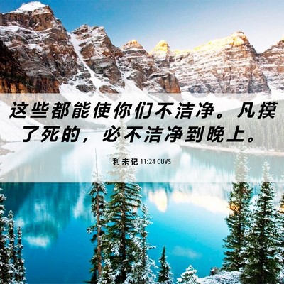 Picture 06 - 利 未 记 11:24 CUVS - 这 些 都 能 使 你 们 不 洁 净 。 凡 - Bible Verse Picture