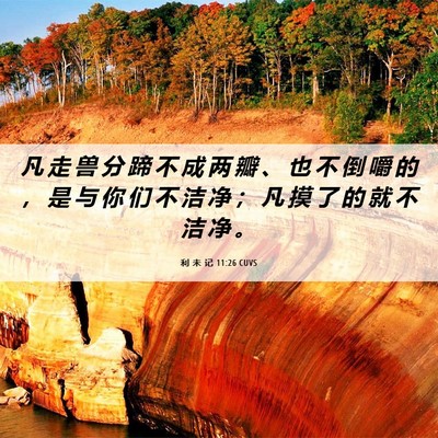Picture 06 - 利 未 记 11:26 CUVS - 凡 走 兽 分 蹄 不 成 两 瓣 、 也 不 - Bible Verse Picture