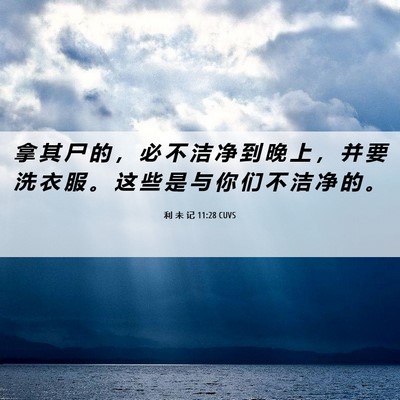 Picture 06 - 利 未 记 11:28 CUVS - 拿 其 尸 的 ， 必 不 洁 净 到 晚 上 - Bible Verse Picture